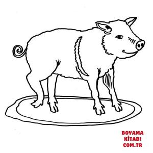 Domuz boyama sayfası, Pig coloring page, , pig little hungry pig 