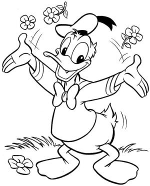 Donald Duck boyama sayfası,  coloring page, Donald Duck ve Çiçekler, 