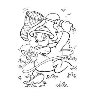 Donald Duck boyama sayfası,  coloring page, Donald Duck Kelebek Yakalıyor, 