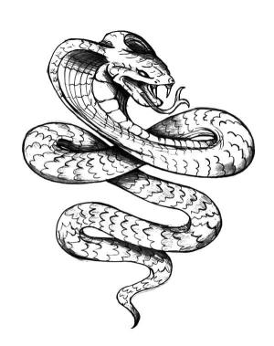 Dövme boyama sayfası, coloring page, Kral Kobra Dövmesi,