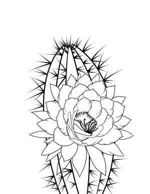 Dövme boyama sayfası,  coloring page, masalsı, mutlu, tatlı
