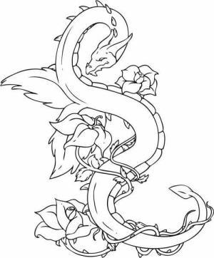 Dövme boyama sayfası,  coloring page, ince çizgili, karikatür, şekilli