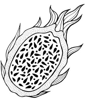 Ejder meyvesi boyama sayfası,  coloring page, Ejder meyvesi 11, 