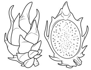 Ejder meyvesi boyama sayfası,  coloring page, Ejder meyvesi 0, 