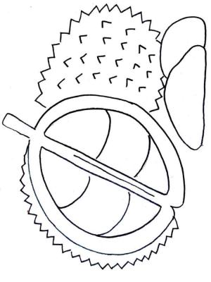 Durian boyama sayfası,  coloring page, Iyi Durian, 