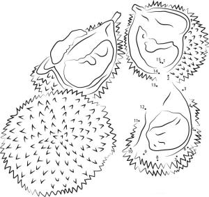 Durian boyama sayfası,  coloring page, Durian Kırmızı Noktadan Noktaya, 