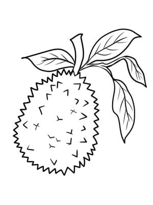 Durian boyama sayfası,  coloring page, Yaprak ile Durian, 