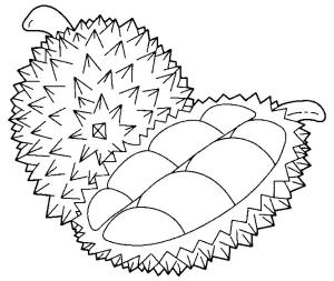 Durian boyama sayfası,  coloring page, Durian Basit ve Yarım Durian, 