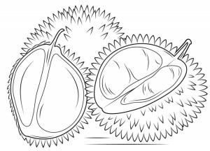 Durian boyama sayfası,  coloring page, İki Durian ve Yarım Durian, 