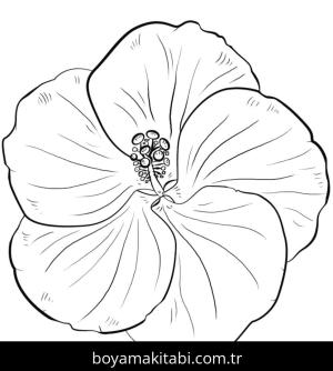 Ebegümeci boyama sayfası – basit çizim, kolay boyama