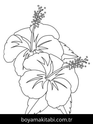 Ebegümeci boyama sayfası – boyama çalışması, yaratıcılığı geliştirir