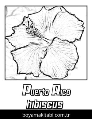 Ebegümeci boyama sayfası – yaratıcılık, eğlenceli etkinlik