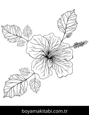 Ebegümeci boyama sayfası – yaratıcılığı geliştirir, keyifli zaman