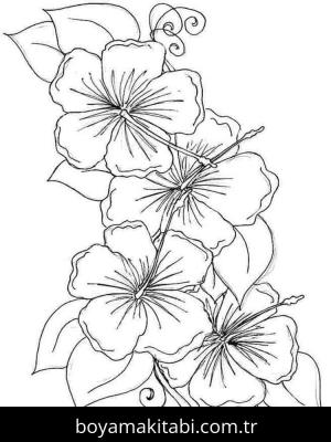 Ebegümeci boyama sayfası – PDF indir, sevimli karakter