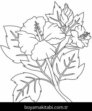 Ebegümeci boyama sayfası – evde etkinlik, ücretsiz yazdır