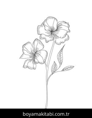 Ebegümeci boyama sayfası – sevimli karakter, sanatsal çalışma