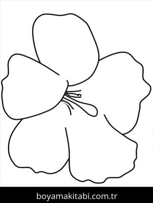 Ebegümeci boyama sayfası – boyama etkinliği, çocuk aktivitesi