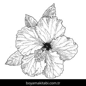 Ebegümeci boyama sayfası – sevimli karakter, sanatsal çalışma