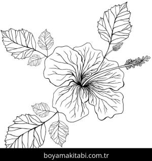 Ebegümeci boyama sayfası – boyama çalışması, yaratıcılığı geliştirir