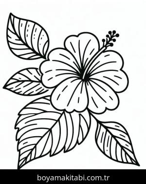 Ebegümeci boyama sayfası – ücretsiz yazdır, boyama etkinliği