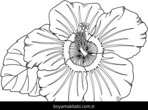 Ebegümeci boyama sayfası – çocuklar için, çizgi film temalı