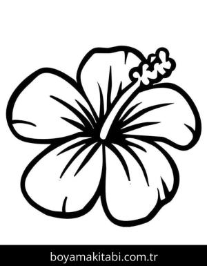 Ebegümeci boyama sayfası – sanatsal çalışma, çocuklar için