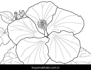 Ebegümeci boyama sayfası – eğlenceli etkinlik, el becerilerini geliştirir