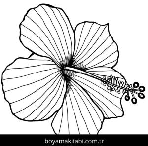 Ebegümeci boyama sayfası – yaratıcılık, eğlenceli etkinlik