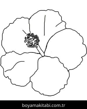 Ebegümeci boyama sayfası – basit çizim, kolay boyama