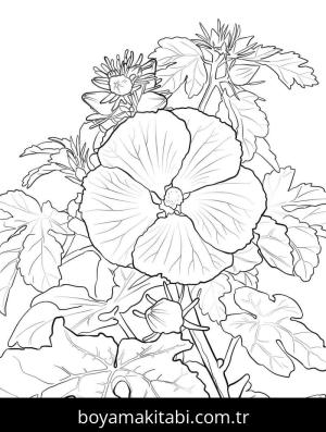 Ebegümeci boyama sayfası – el becerilerini geliştirir, boyama çalışması