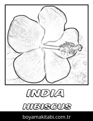 Ebegümeci boyama sayfası – renkli çizimler, okul öncesi