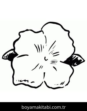 Ebegümeci boyama sayfası – çocuk aktivitesi, PDF indir