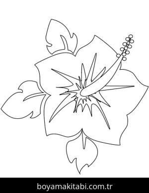 Ebegümeci boyama sayfası – renkli çizimler, okul öncesi