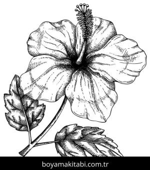 Ebegümeci boyama sayfası – PDF indir, sevimli karakter