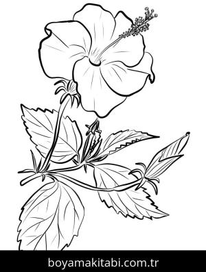 Ebegümeci boyama sayfası – çizgi film temalı, basit çizim