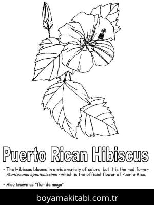 Ebegümeci boyama sayfası – PDF indir, sevimli karakter