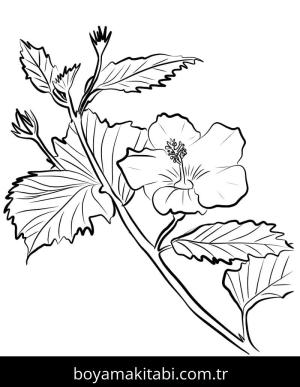 Ebegümeci boyama sayfası – çocuklar için, çizgi film temalı