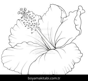 Ebegümeci boyama sayfası – keyifli zaman, renkli çizimler