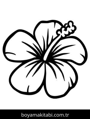 Ebegümeci boyama sayfası – eğlenceli etkinlik, el becerilerini geliştirir