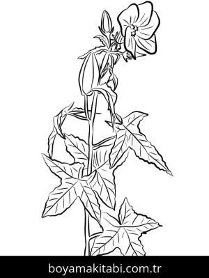 Ebegümeci boyama sayfası – çocuk aktivitesi, PDF indir