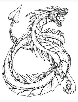 Ejderha boyama sayfası, Dragon coloring page, Elle Beraberlik Ejderha, 