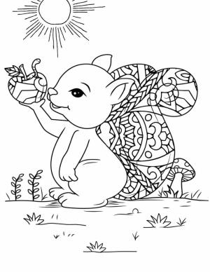 Elma boyama sayfası,  coloring page, Bir Elma ile Sincap, 