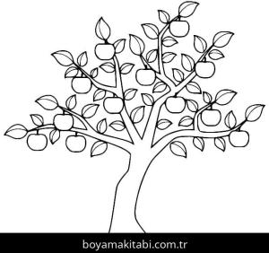 Elma boyama sayfası – çocuk aktivitesi, PDF indir