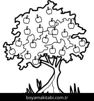 Elma boyama sayfası – boyama çalışması, yaratıcılığı geliştirir