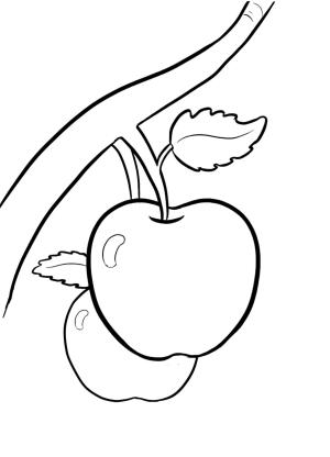 Elma boyama sayfası,  coloring page, Ağaçta İki Elma, 