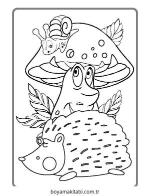 Enchanted Forest Boyama