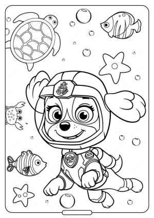 Erkek Çocuk boyama sayfası,  coloring page, Pençe Devriye çocuğu, 