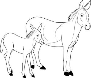 Eşek boyama sayfası, Donkeys coloring page, Iki Anne ve Oğul Eşek, 