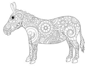 Eşek boyama sayfası, Donkeys coloring page, Yetişkin için Eşek, 