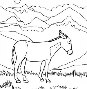 Eşek boyama sayfası, Donkeys coloring page, , donkeys cute burro 